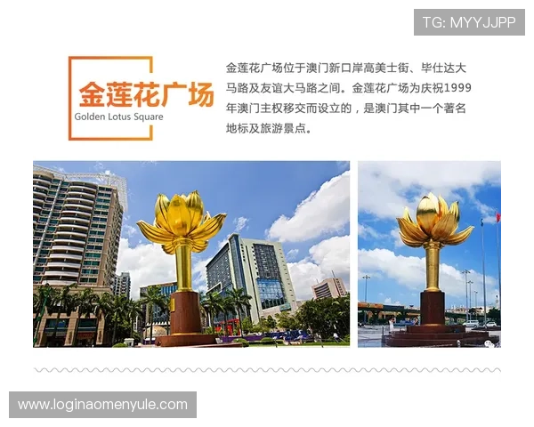 澳门十大娱乐场所开门时间指南，确保你不错过任何精彩的娱乐时刻